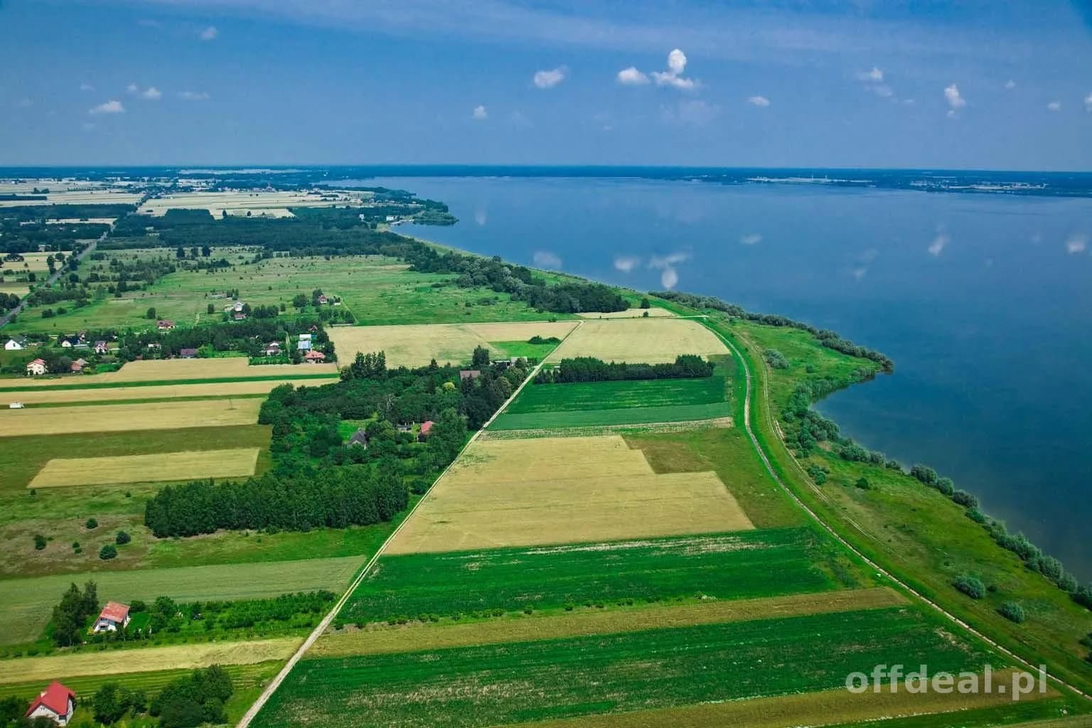 ділянка на продаж у Zaspy | 9 900 m²