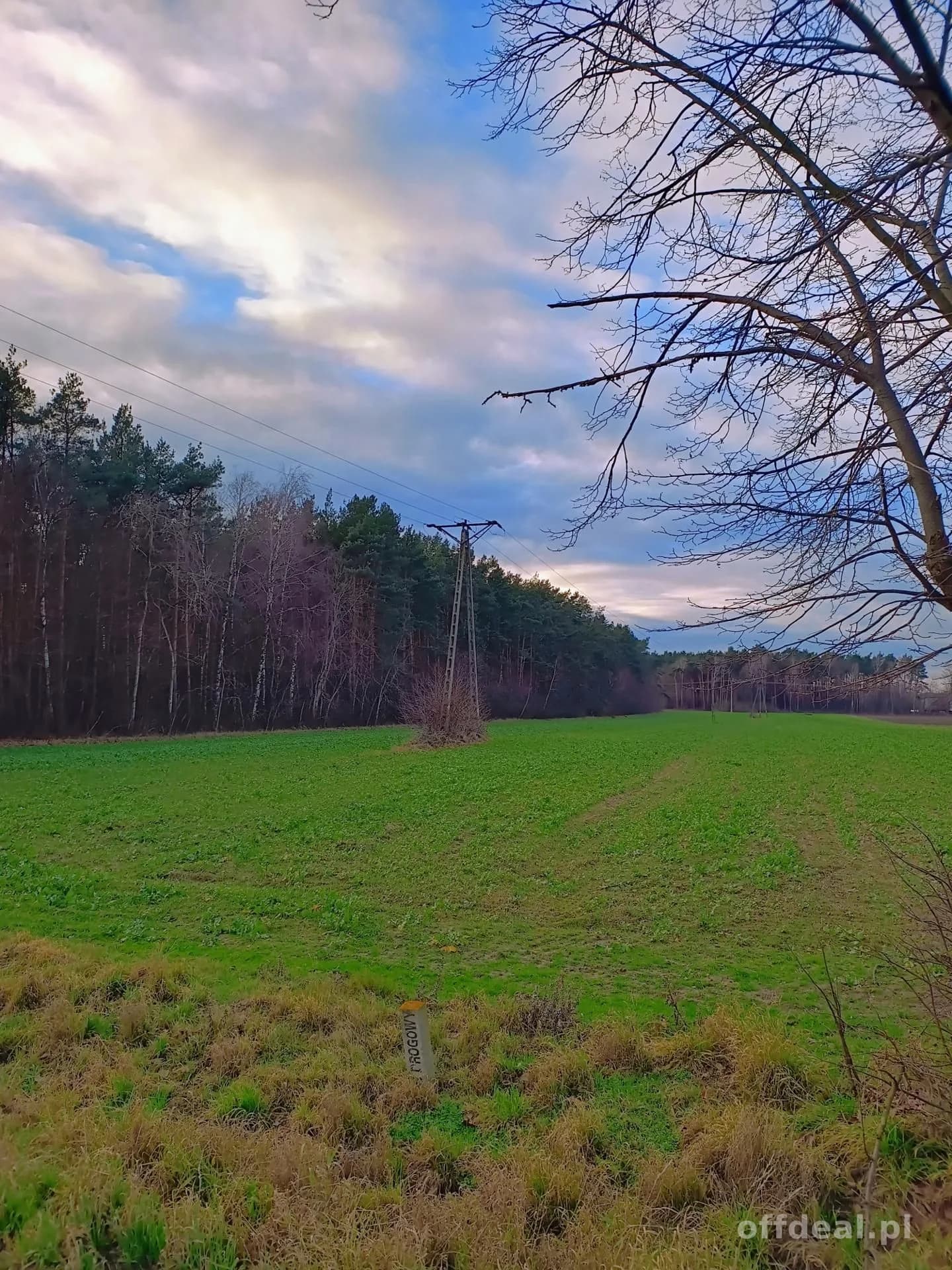 ділянка на продаж у Zaspy | 9 900 m²