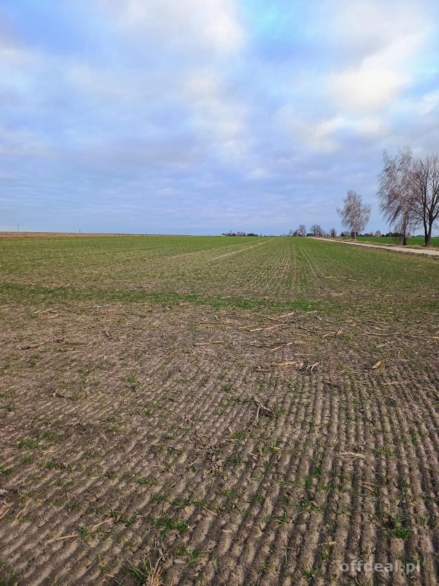 ділянка на продаж у Zaspy | 9 900 m²