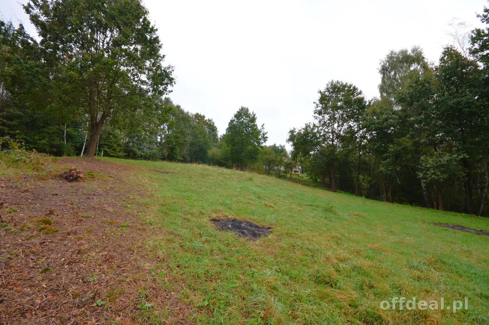 plot for sale in Nowy Wiśnicz | 12,337 m²