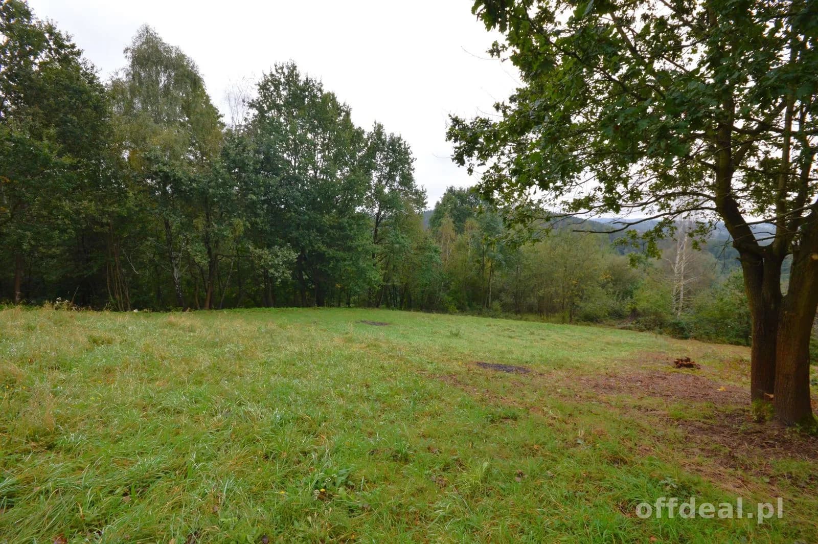 plot for sale in Nowy Wiśnicz | 12,337 m²