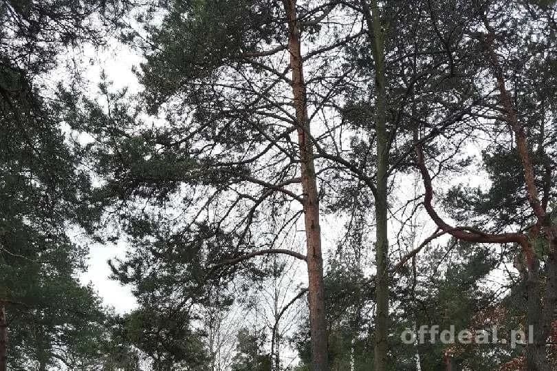 Sprzedam piękną działkę w Michalinie