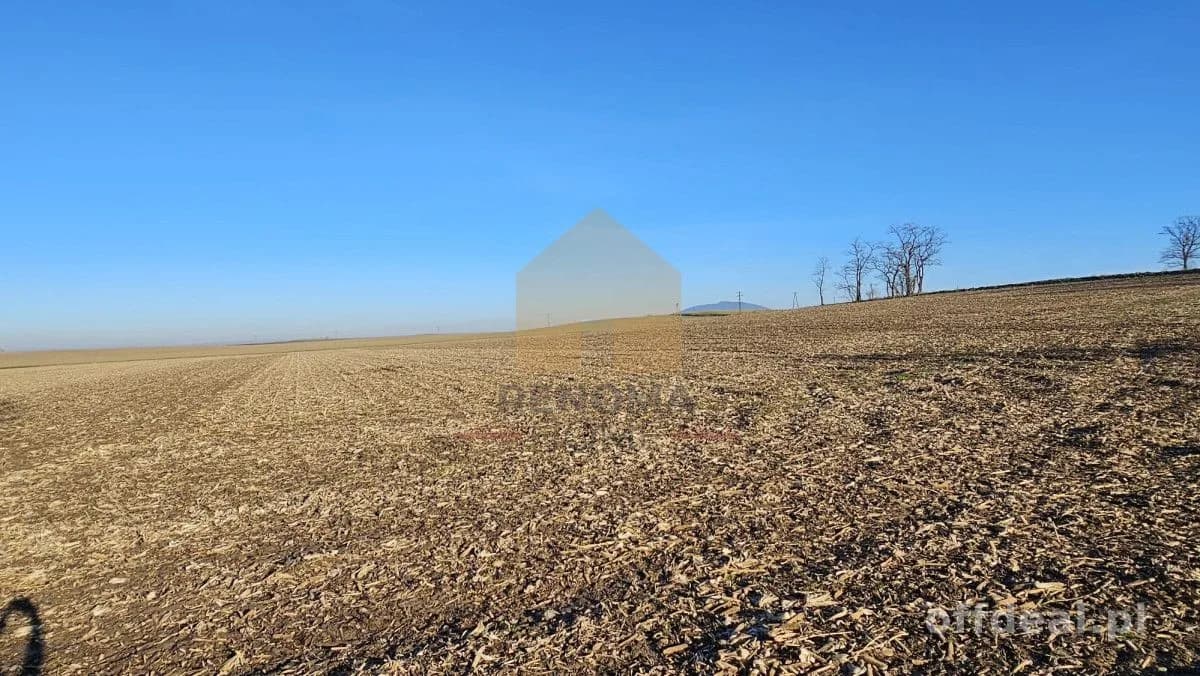 terrain à vendre à Krzczonów | 8 400 m²