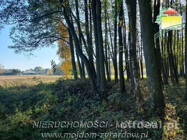 plot for sale in Radziwiłłów | 1,387 m²