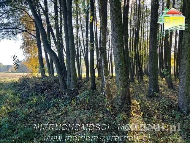 plot for sale in Radziwiłłów | 1,387 m²