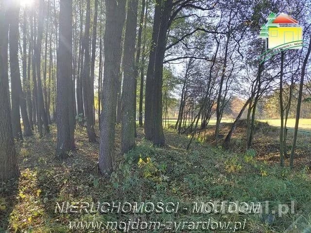 plot for sale in Radziwiłłów | 1,387 m²