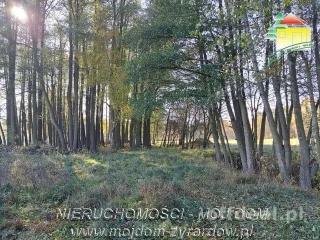 plot for sale in Radziwiłłów | 1,387 m²