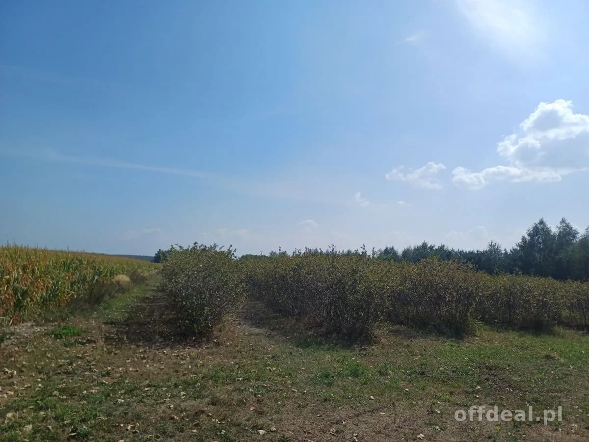 Zdjęcie 1: Działka, 18600 m², Jeruzal