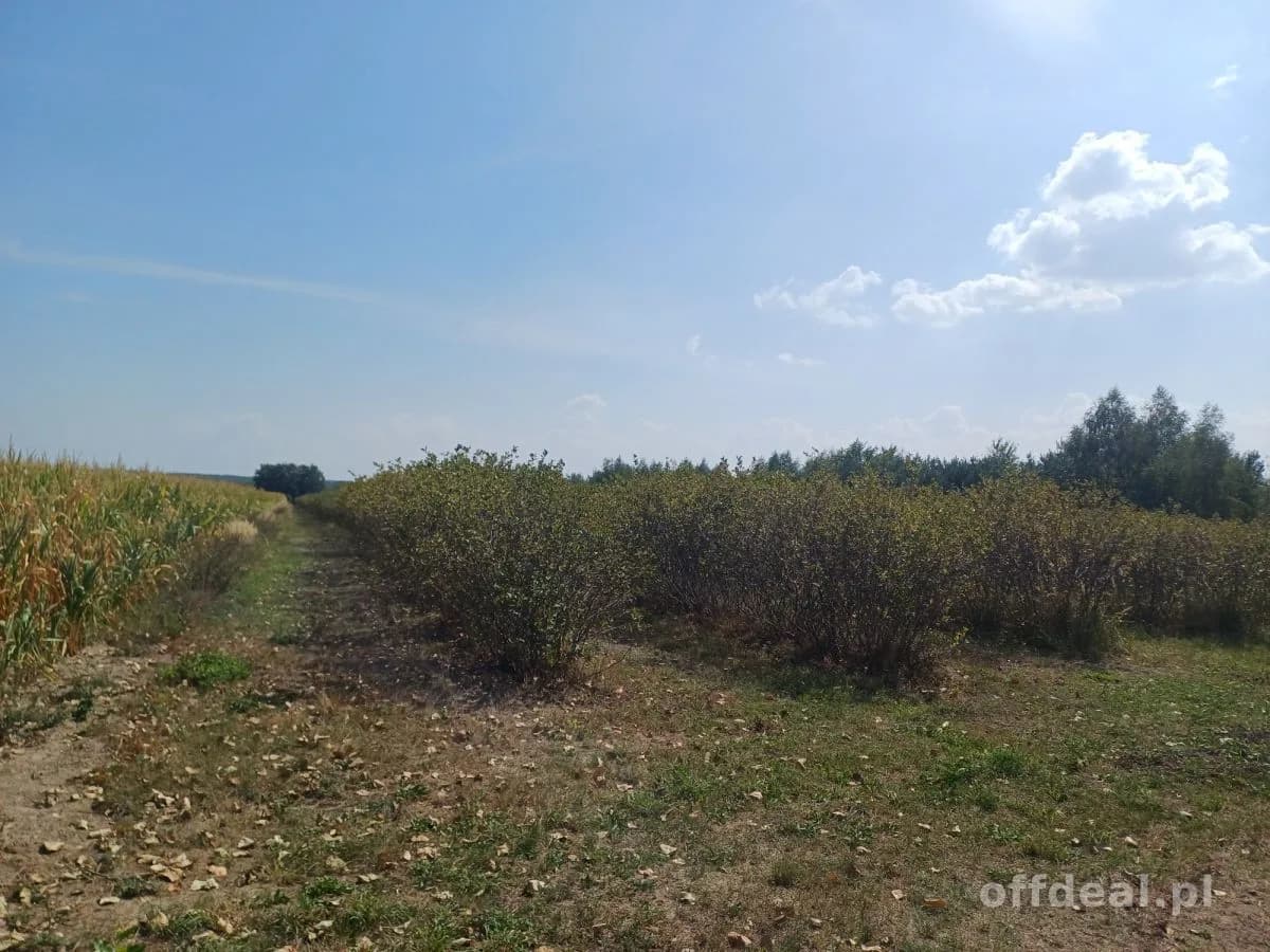 Zdjęcie 2: Działka, 18600 m², Jeruzal