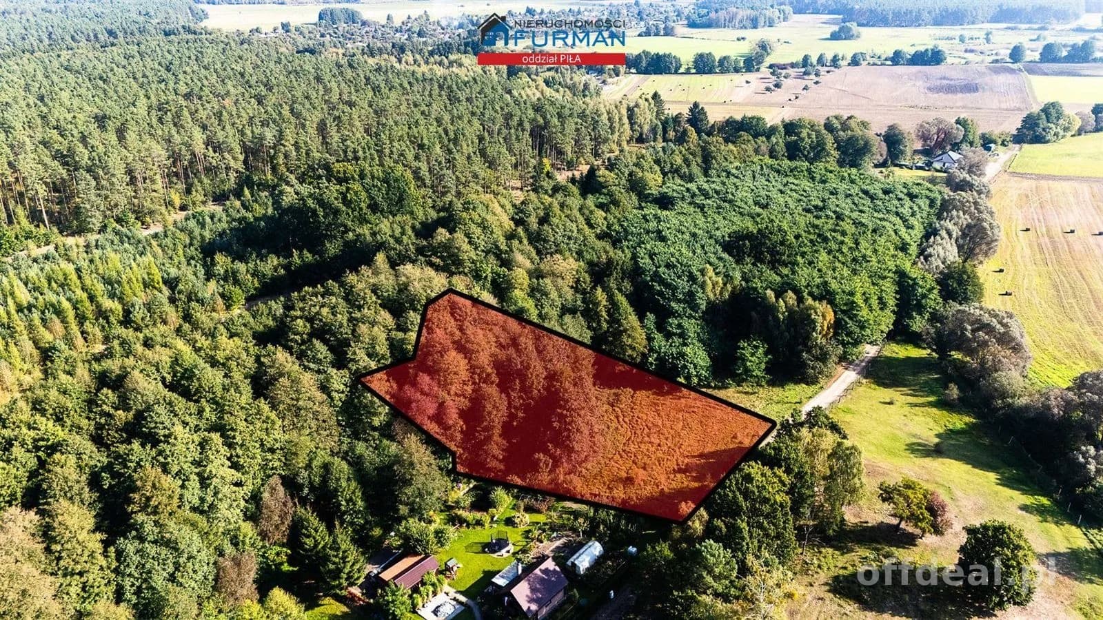 Działka z warunkami zabudowy- przy lesie