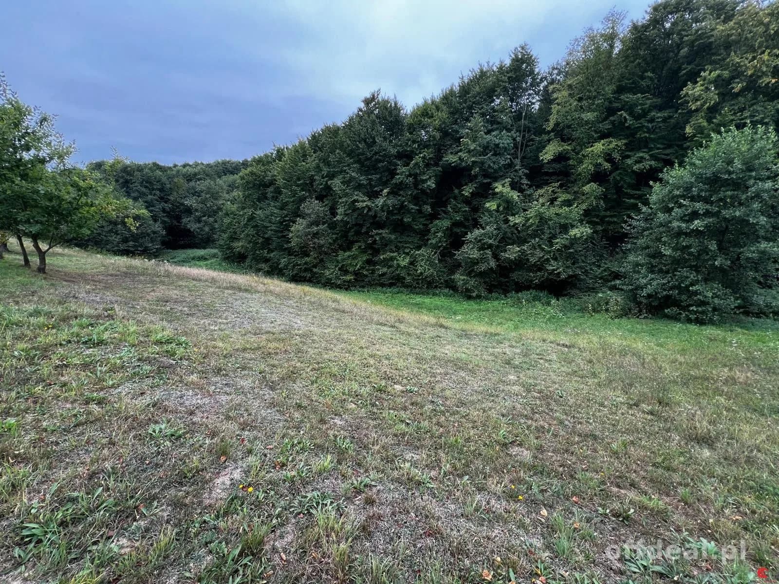 Фото 7: Будинок, 1 кімнати, 80 m², Brzeziny