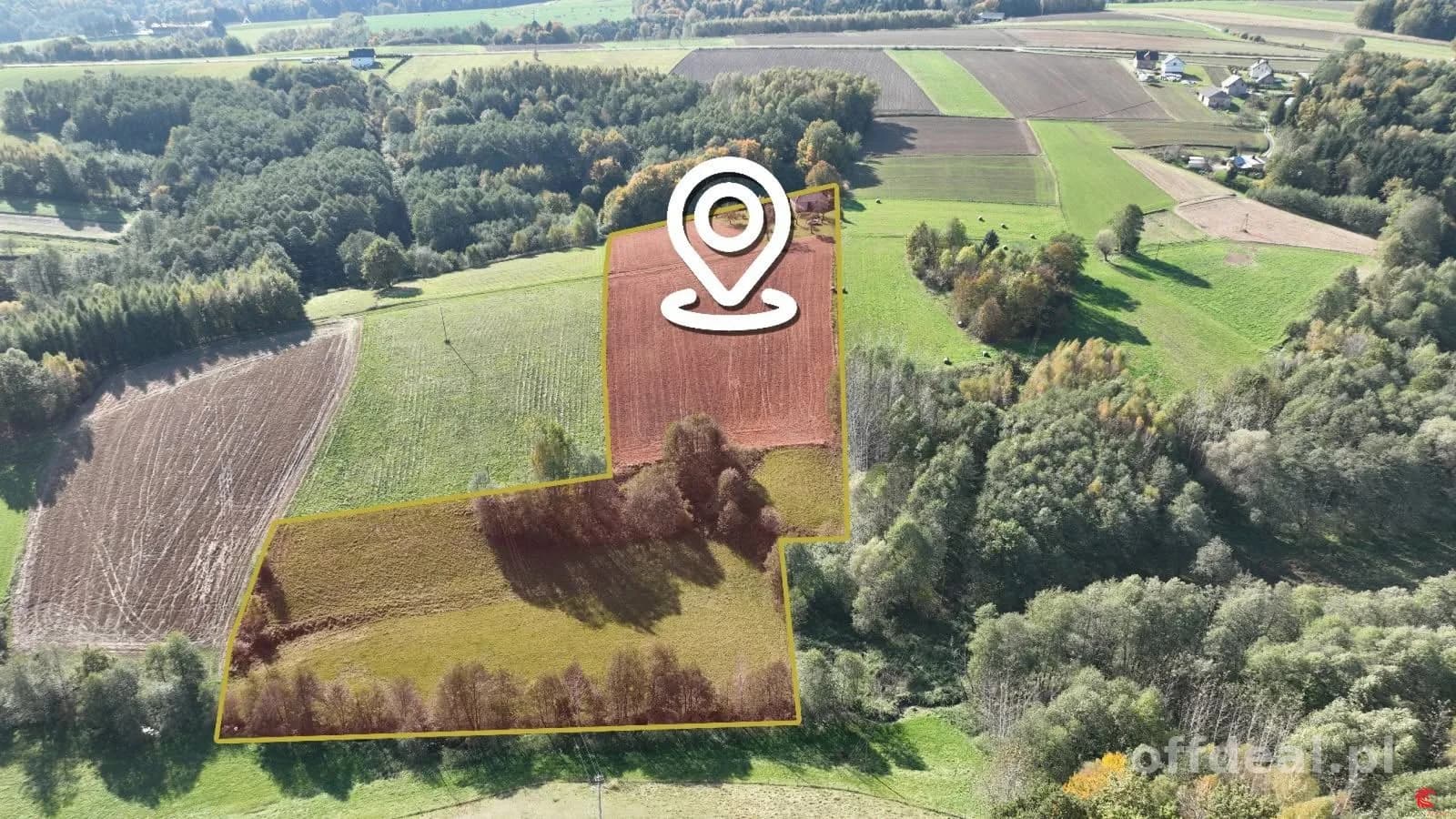Фото 1: Будинок, 1 кімнати, 80 m², Brzeziny