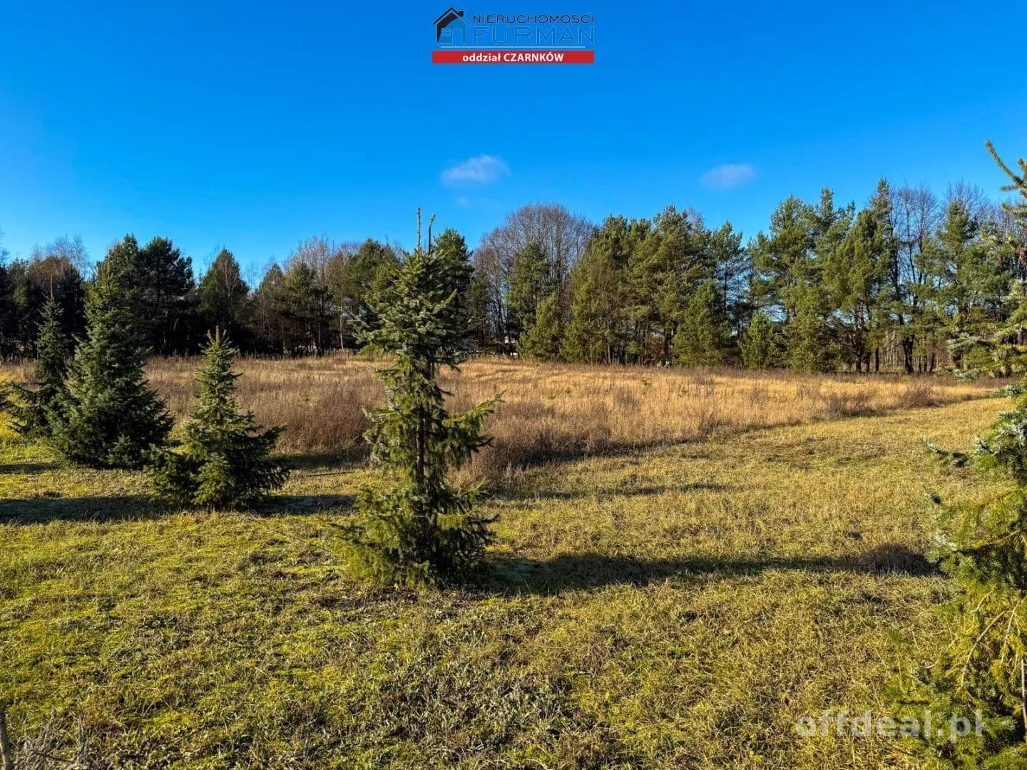 Działka na sprzedaż, Rychlik
