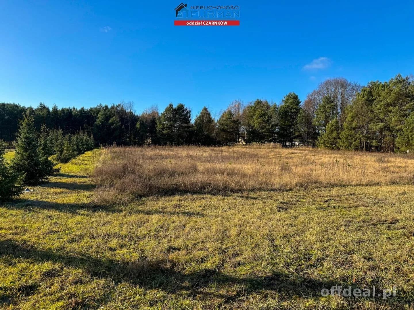 Działka na sprzedaż, Rychlik