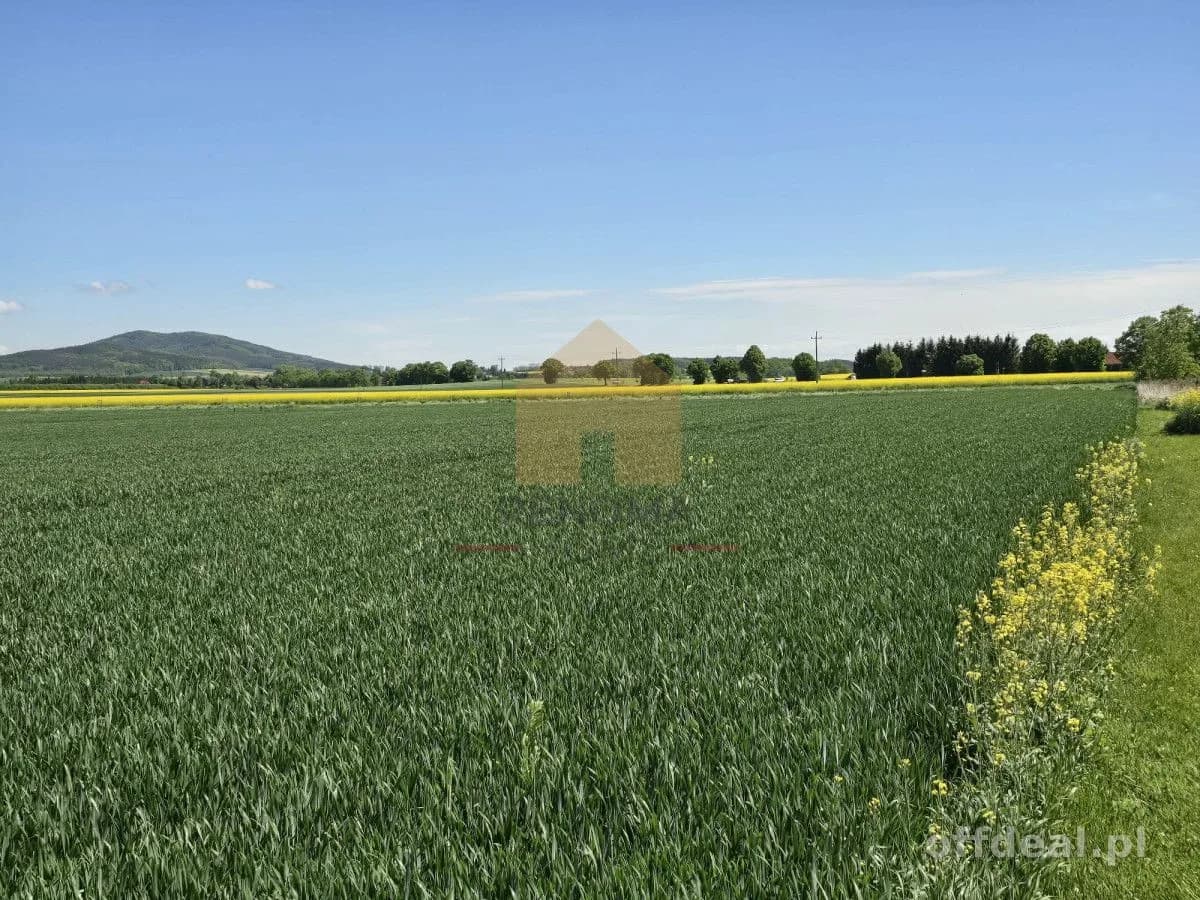 terrain à vendre à Świdnica | 12 700 m²