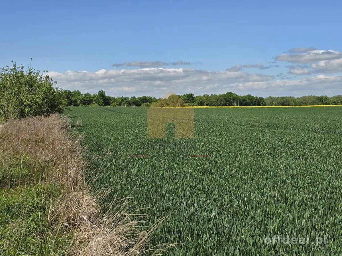 terrain à vendre à Świdnica | 12 700 m²
