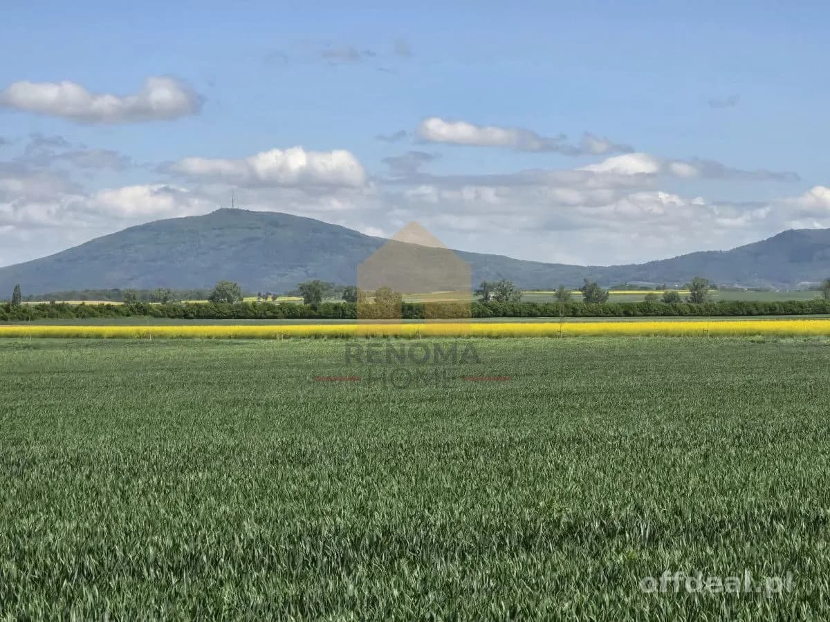 terrain à vendre à Świdnica | 12 700 m²