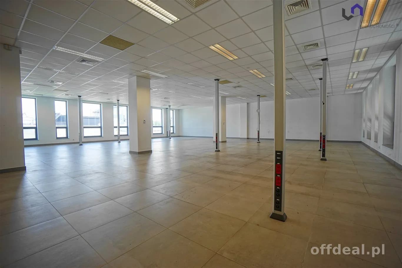 Lokal na wynajem, Katowice