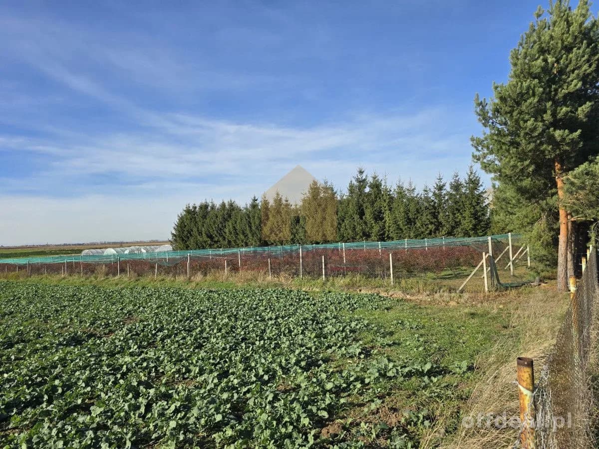 Zdjęcie 10: Działka, 1500 m², Siemidrożyce