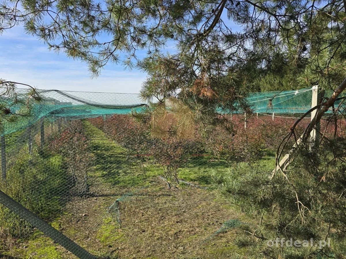 Zdjęcie 12: Działka, 1500 m², Siemidrożyce