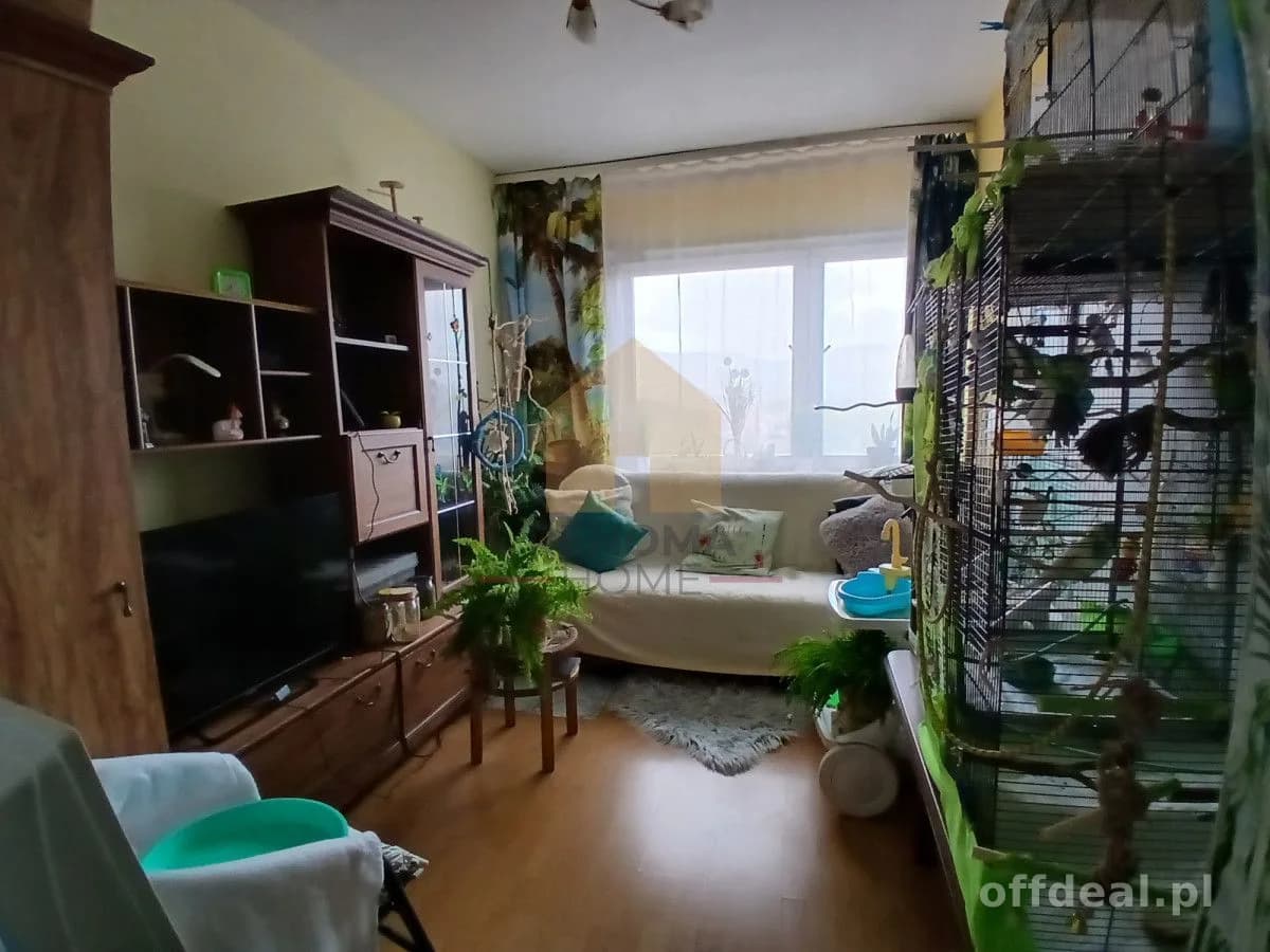 Mieszkanie dla cudzoziemców!
