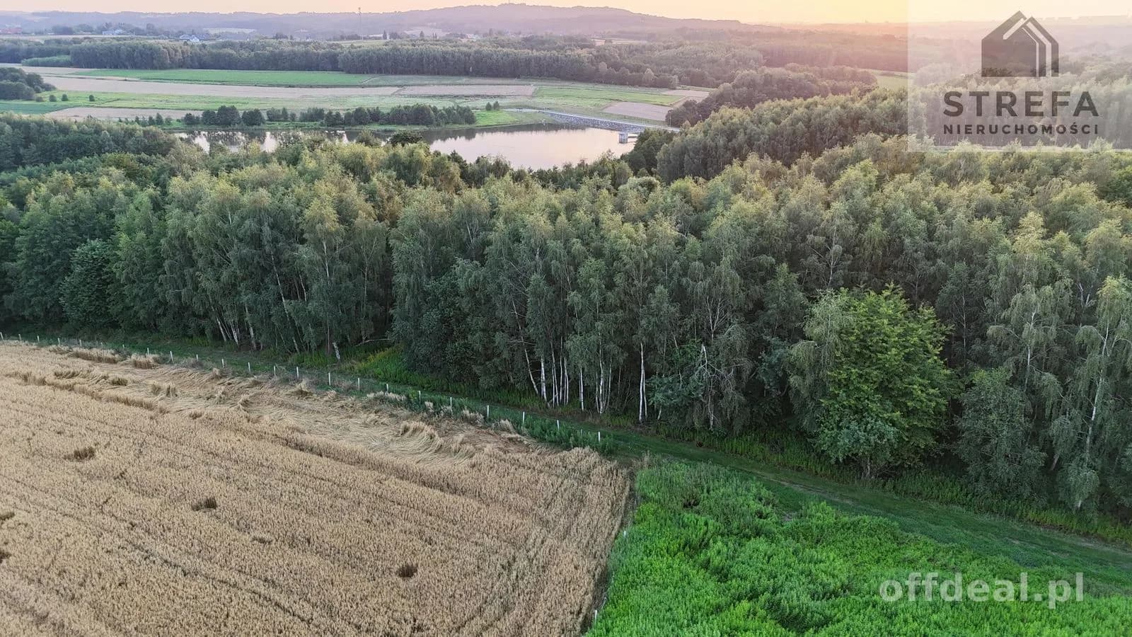 ділянка на продаж у Skrzyszów | 5 504 m²