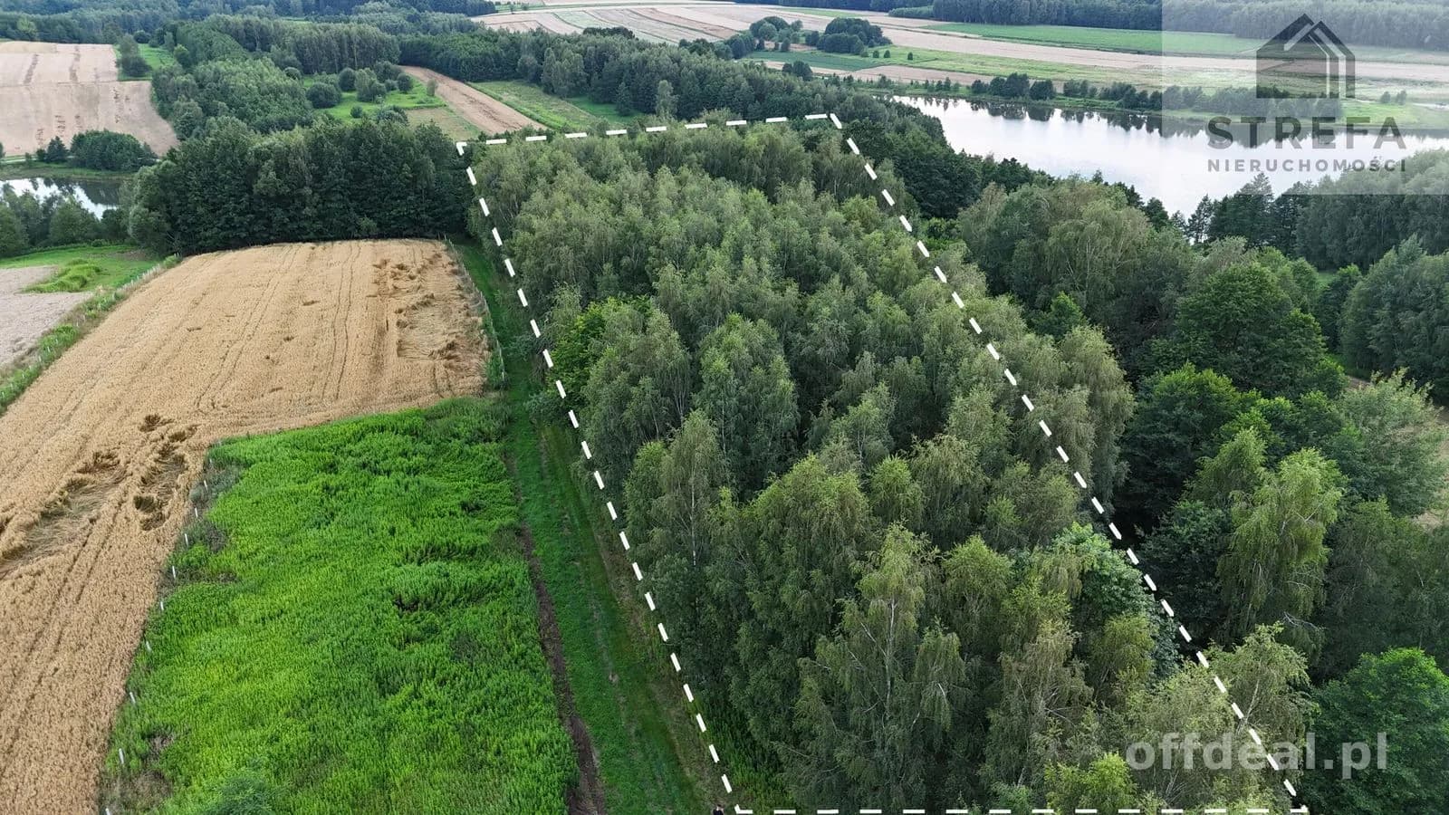 ділянка на продаж у Skrzyszów | 5 504 m²