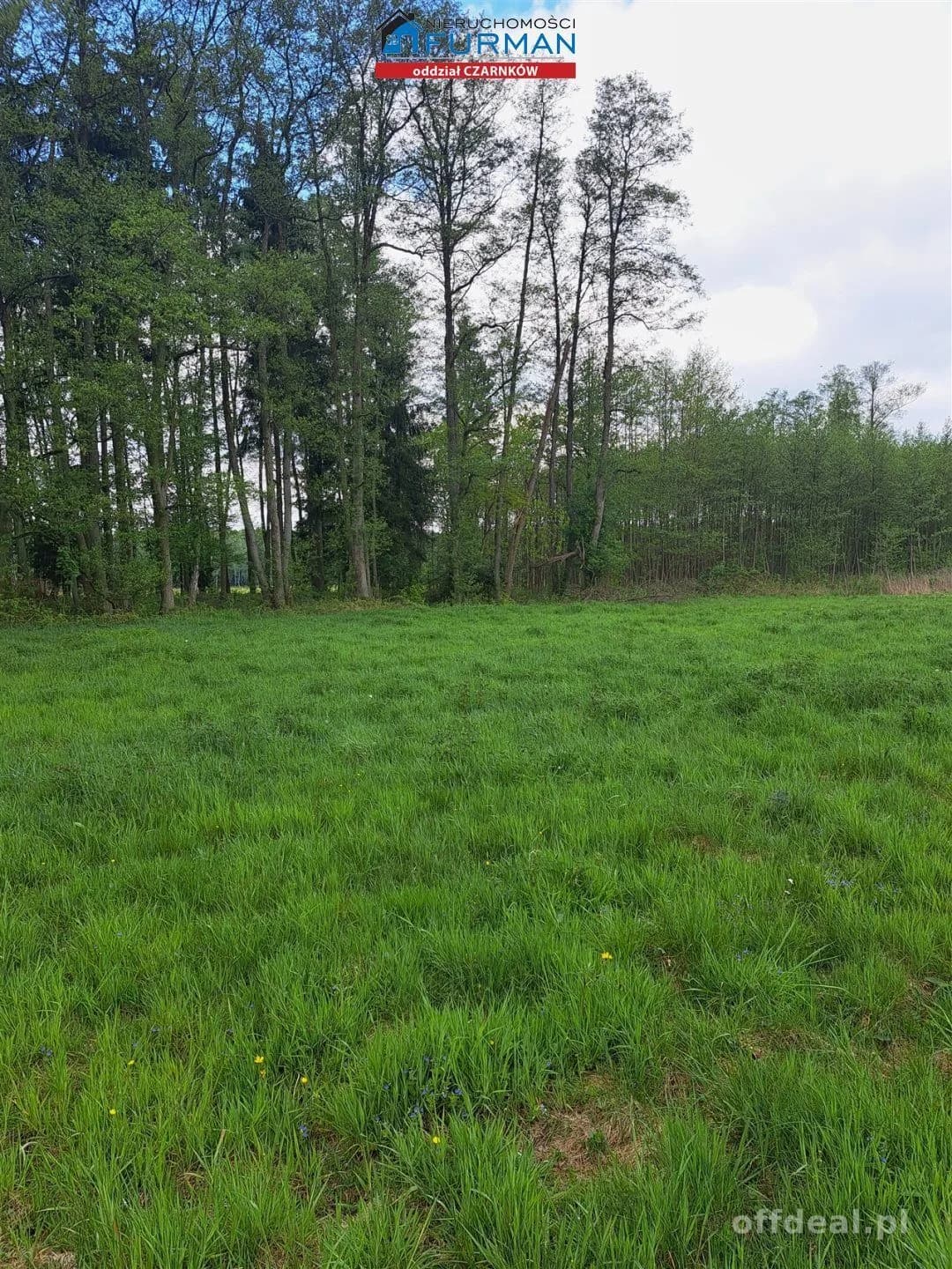 Foto 1: Grundstück, 1265 m², Klempicz