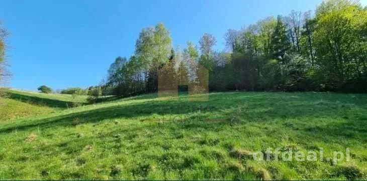 terrain à vendre à Walim | 8 900 m²