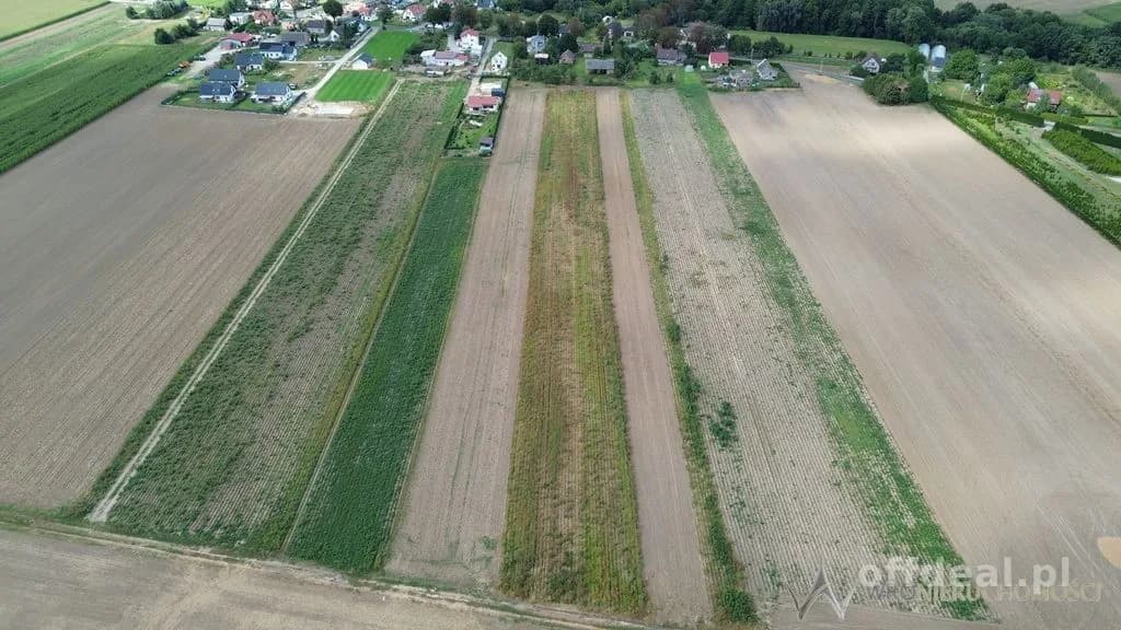 Działki 1,3550 HA oraz dom i budynki gospodarcze