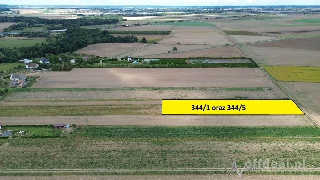 Działki 1,3550 HA oraz dom i budynki gospodarcze