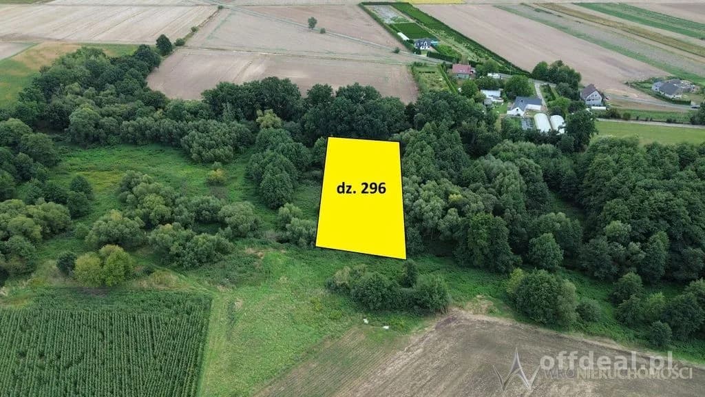 Działki 1,3550 HA oraz dom i budynki gospodarcze