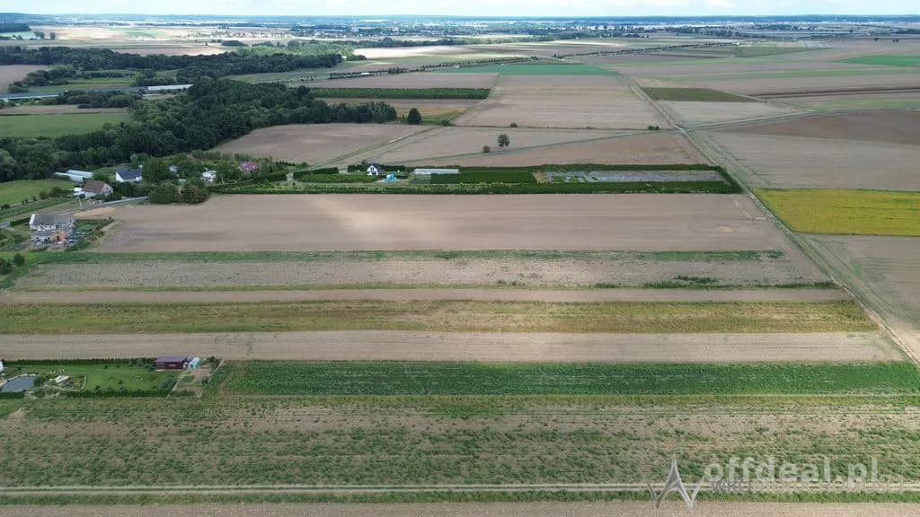 Działki 1,3550 HA oraz dom i budynki gospodarcze