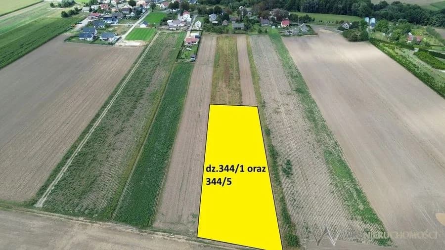 Działki 1,3550 HA oraz dom i budynki gospodarcze