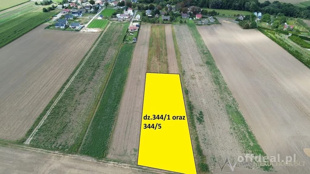 Działki 1,3550 HA oraz dom i budynki gospodarcze