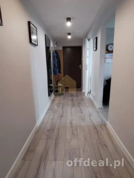 kamienica/piwnica/ogródek