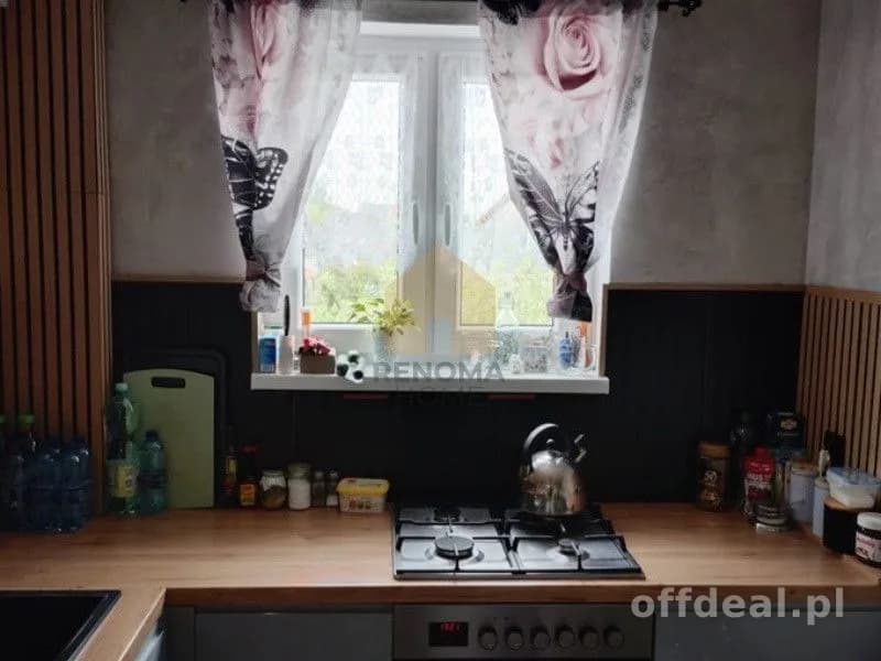 kamienica/piwnica/ogródek