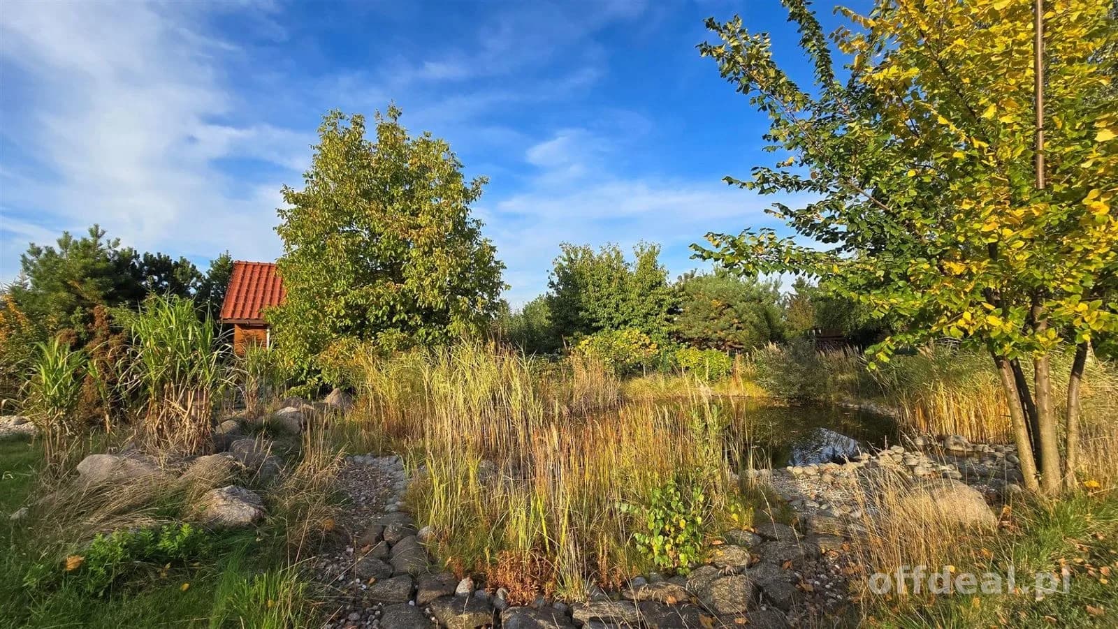 Zdjęcie 8: Działka, 1015 m², Kotowice