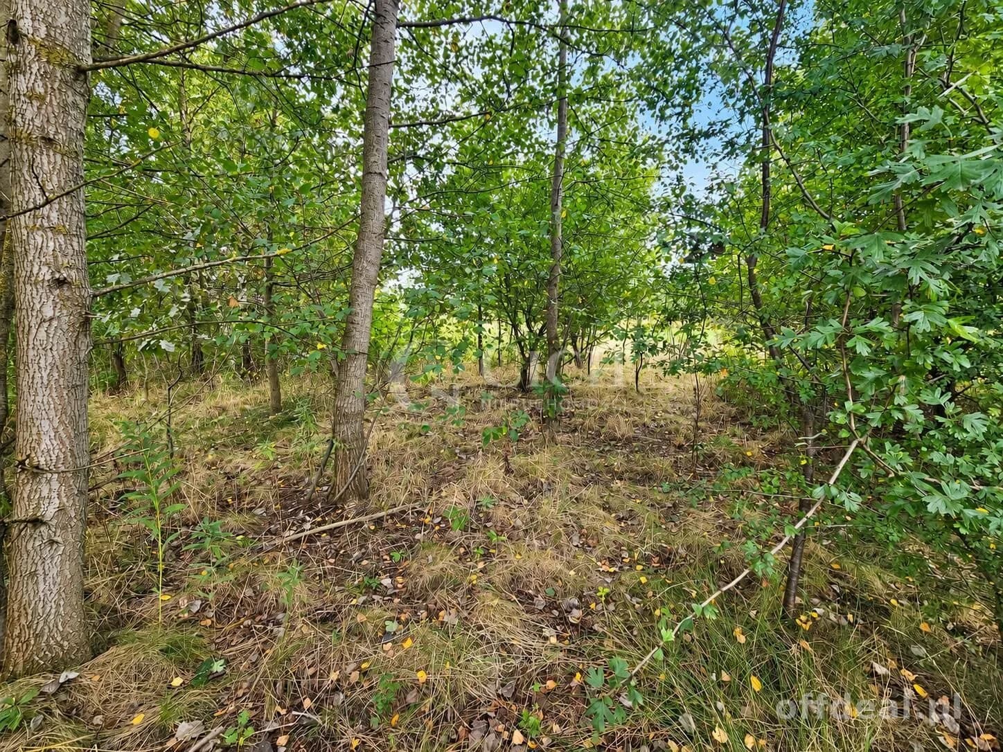 Zdjęcie 10: Działka, 1597 m², Nowe Żukowice