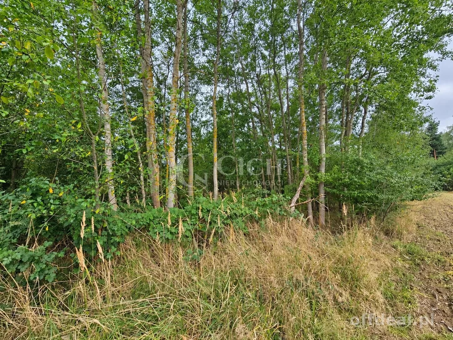 Zdjęcie 12: Działka, 1597 m², Nowe Żukowice