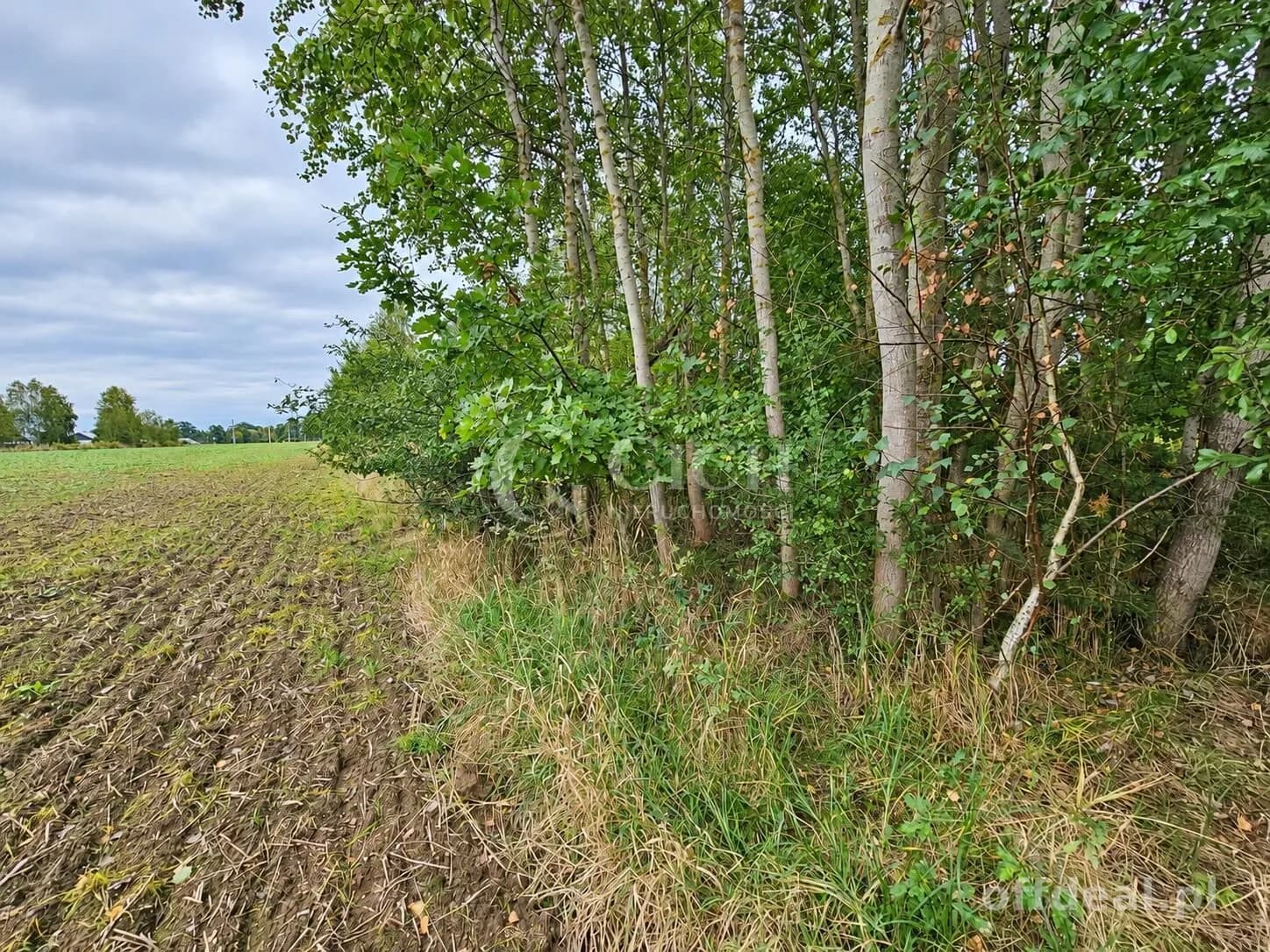 Zdjęcie 8: Działka, 1597 m², Nowe Żukowice
