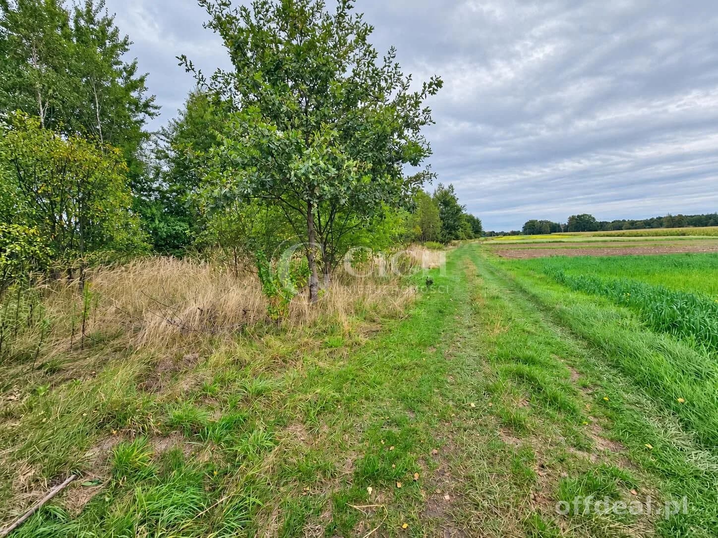 Zdjęcie 6: Działka, 1597 m², Nowe Żukowice
