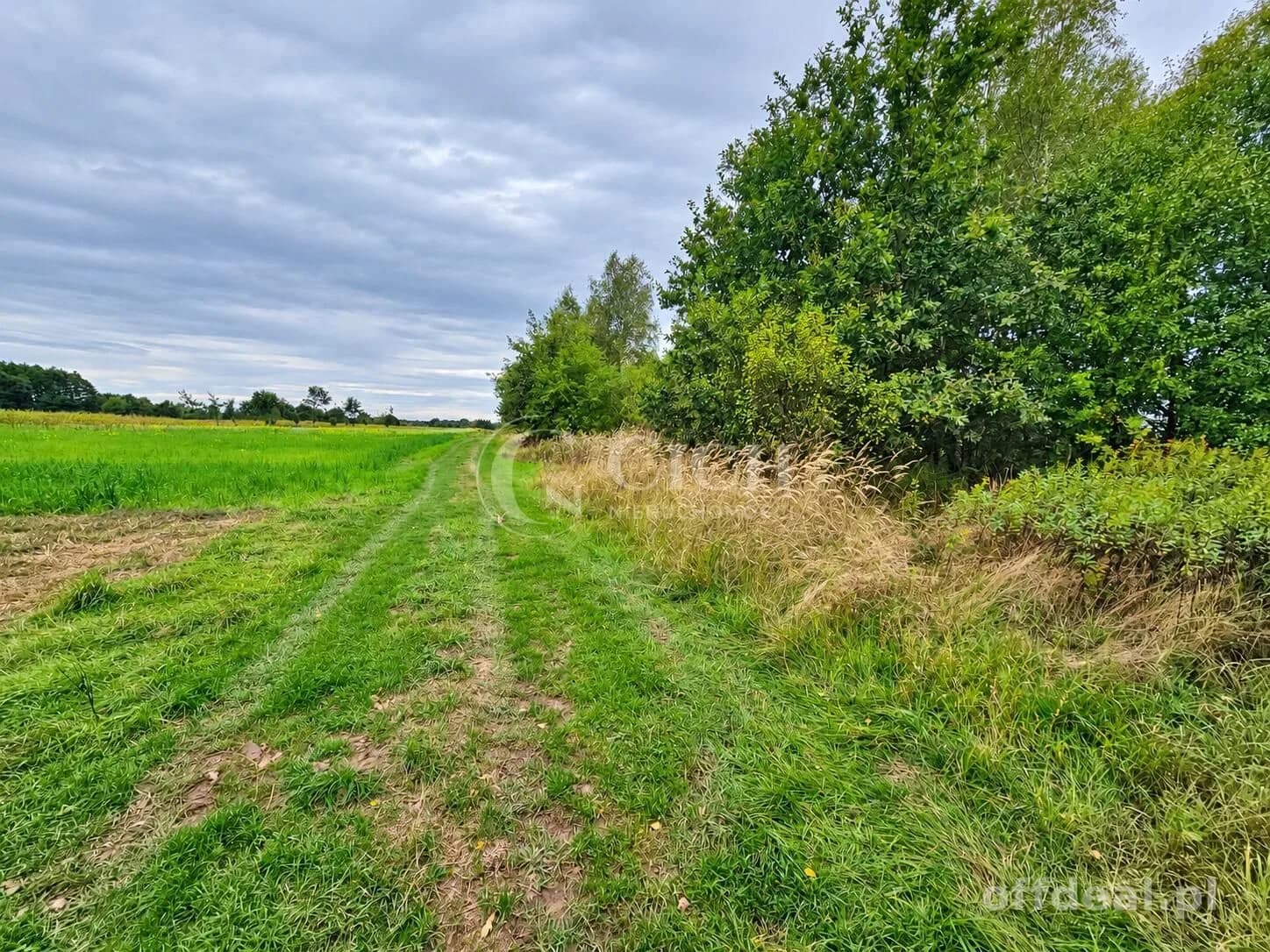 Zdjęcie 15: Działka, 1597 m², Nowe Żukowice