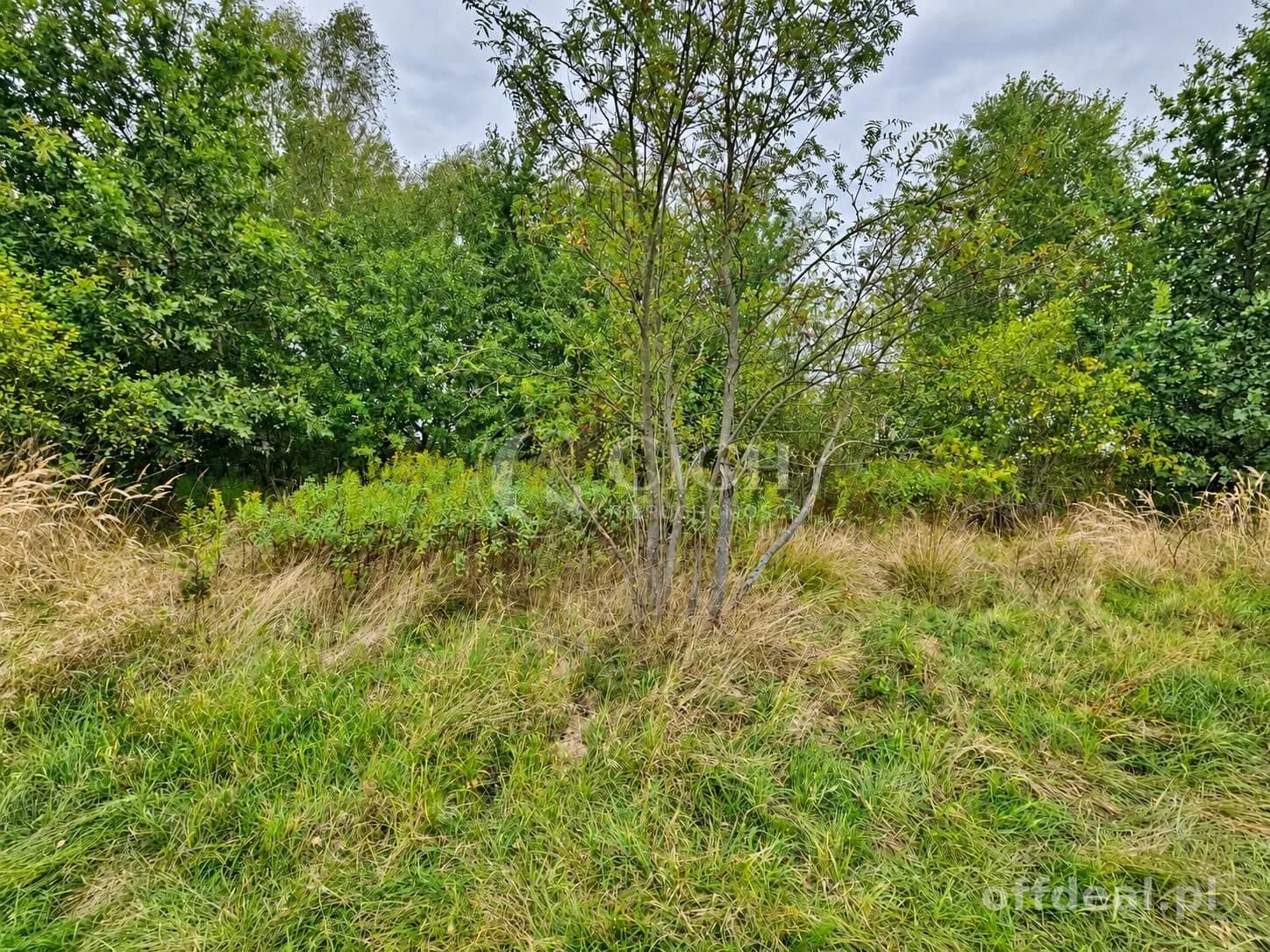 Zdjęcie 16: Działka, 1597 m², Nowe Żukowice