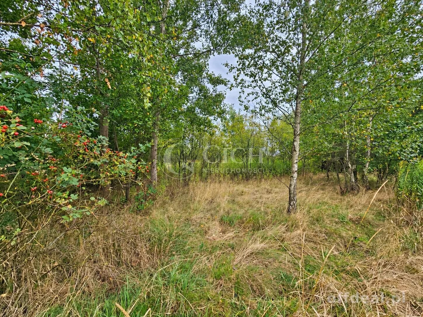 Zdjęcie 7: Działka, 1597 m², Nowe Żukowice