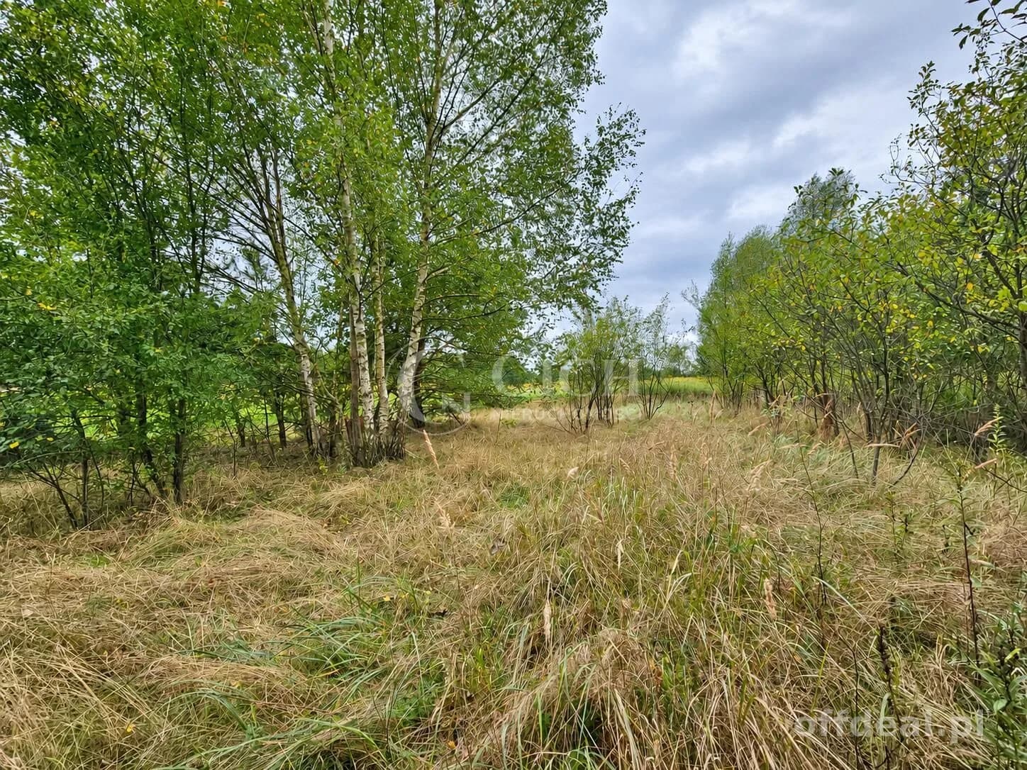 Zdjęcie 5: Działka, 1597 m², Nowe Żukowice
