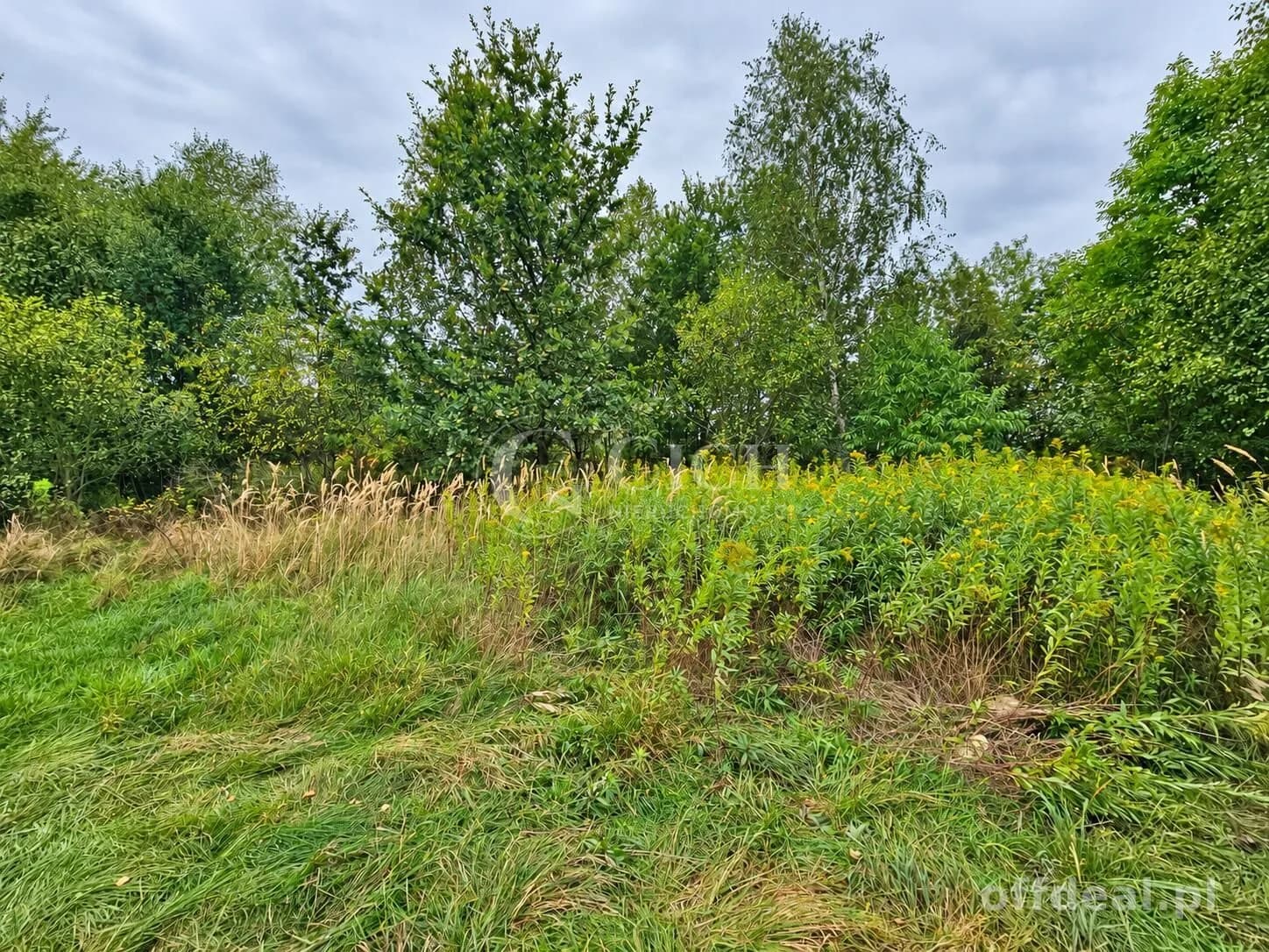 Zdjęcie 13: Działka, 1597 m², Nowe Żukowice