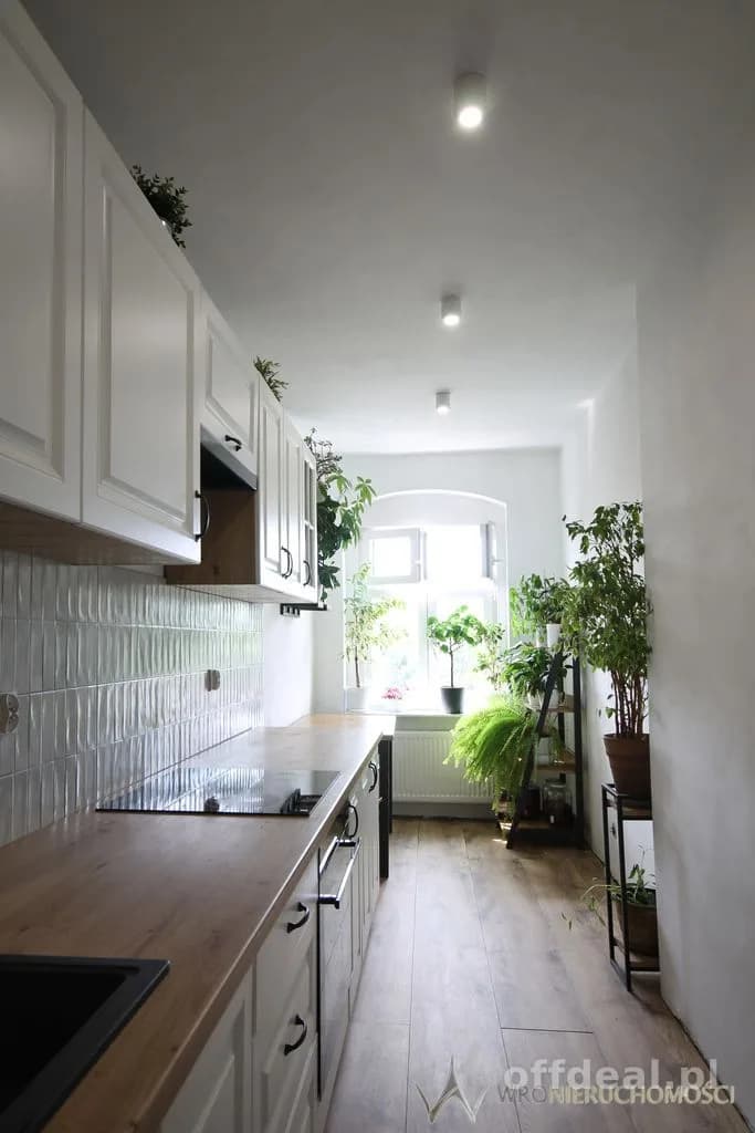 65m2 * kamienica * centrum Wrocławia * inwestycja
