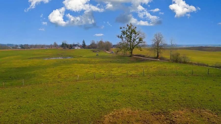 Mazury działka w otoczeniu lasów i jezior