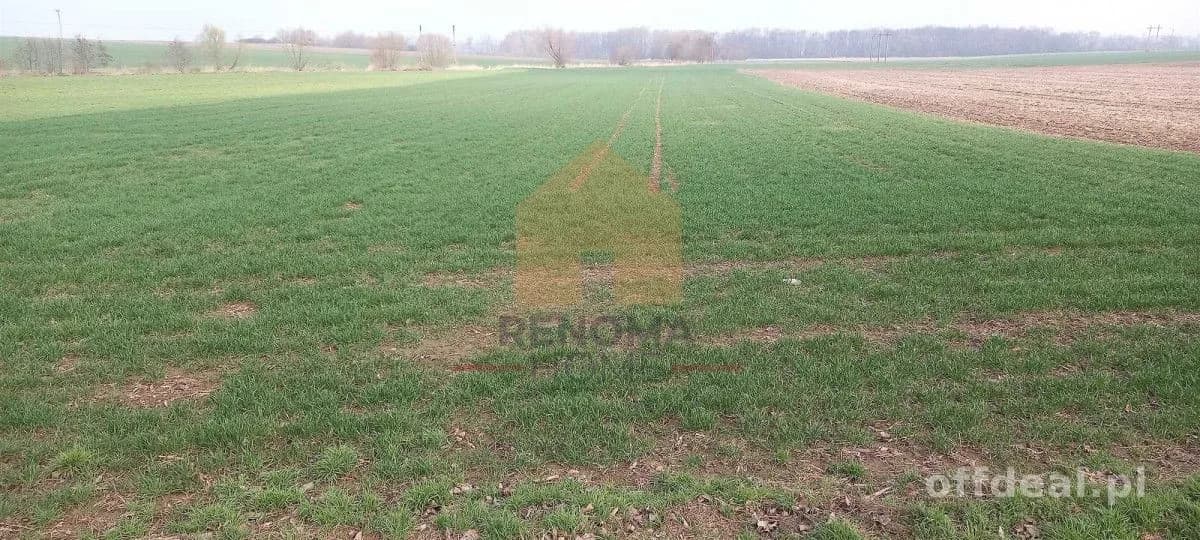 Działka przemysłowa/Piotrowice/pow. Jaworski